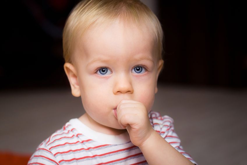 gigi kelinci 1 - Veneer gigi, Kawat gigi, Pemutih gigi